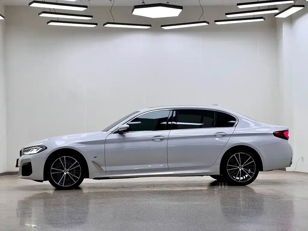 BMW 5 Series 2021 из CN, фото 10