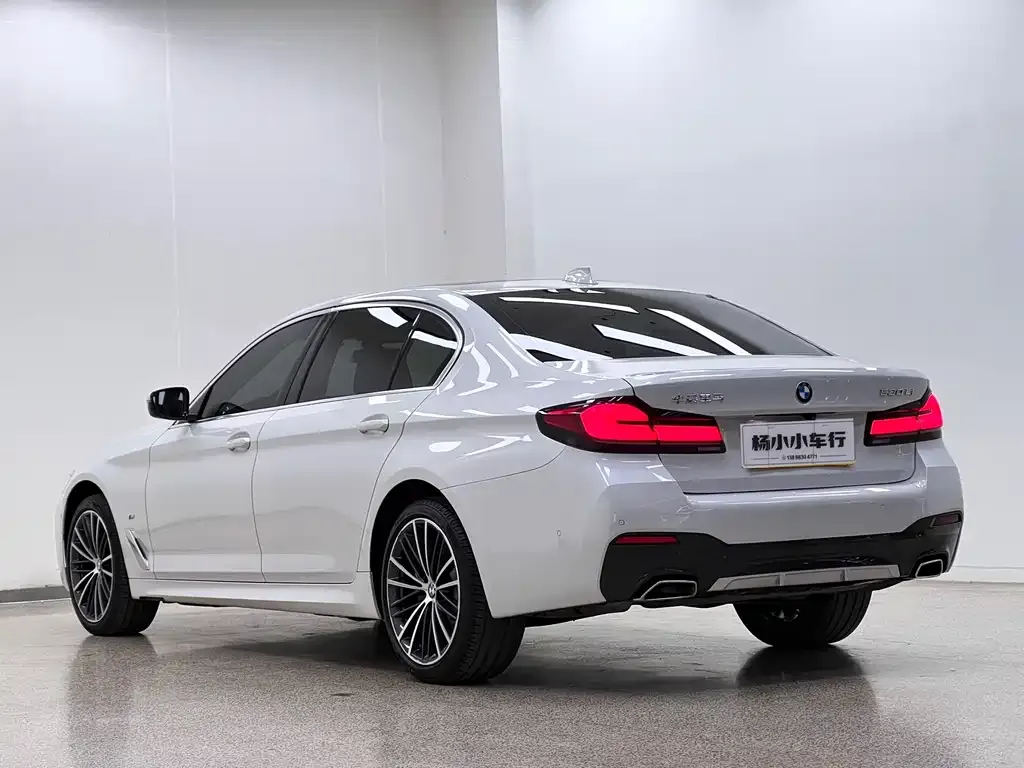 BMW 5 Series 2021 из CN, фото 6