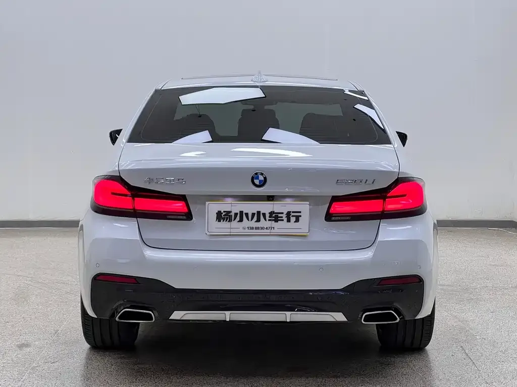 BMW 5 Series 2021 из CN, фото 8