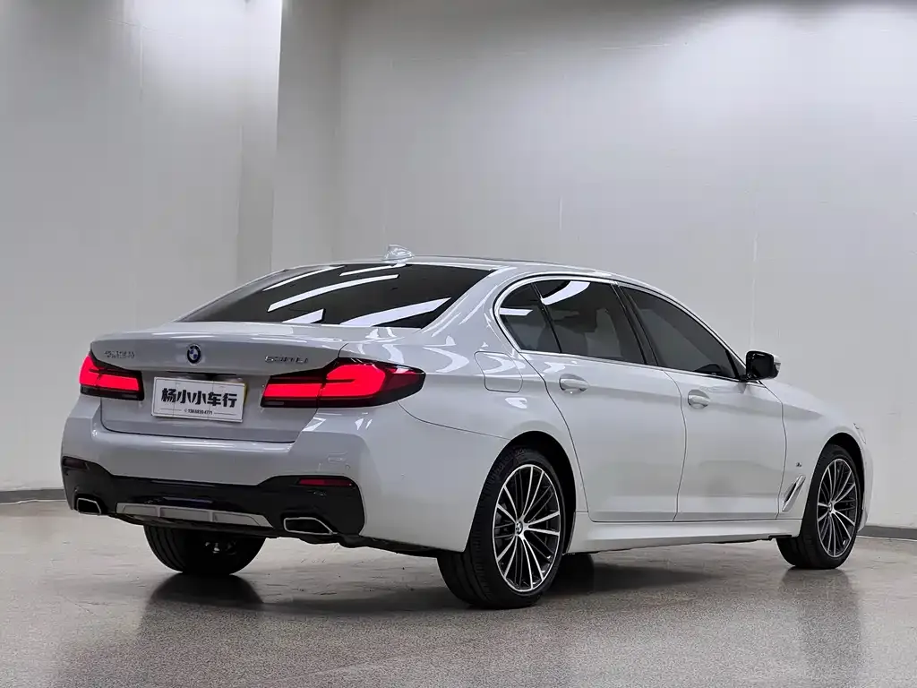 BMW 5 Series 2021 из CN, фото 5