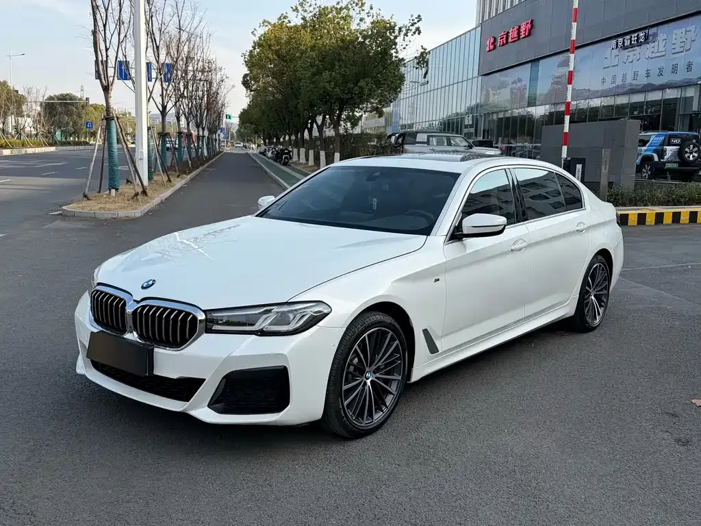 BMW 5 Series 2022 из CN, фото 1