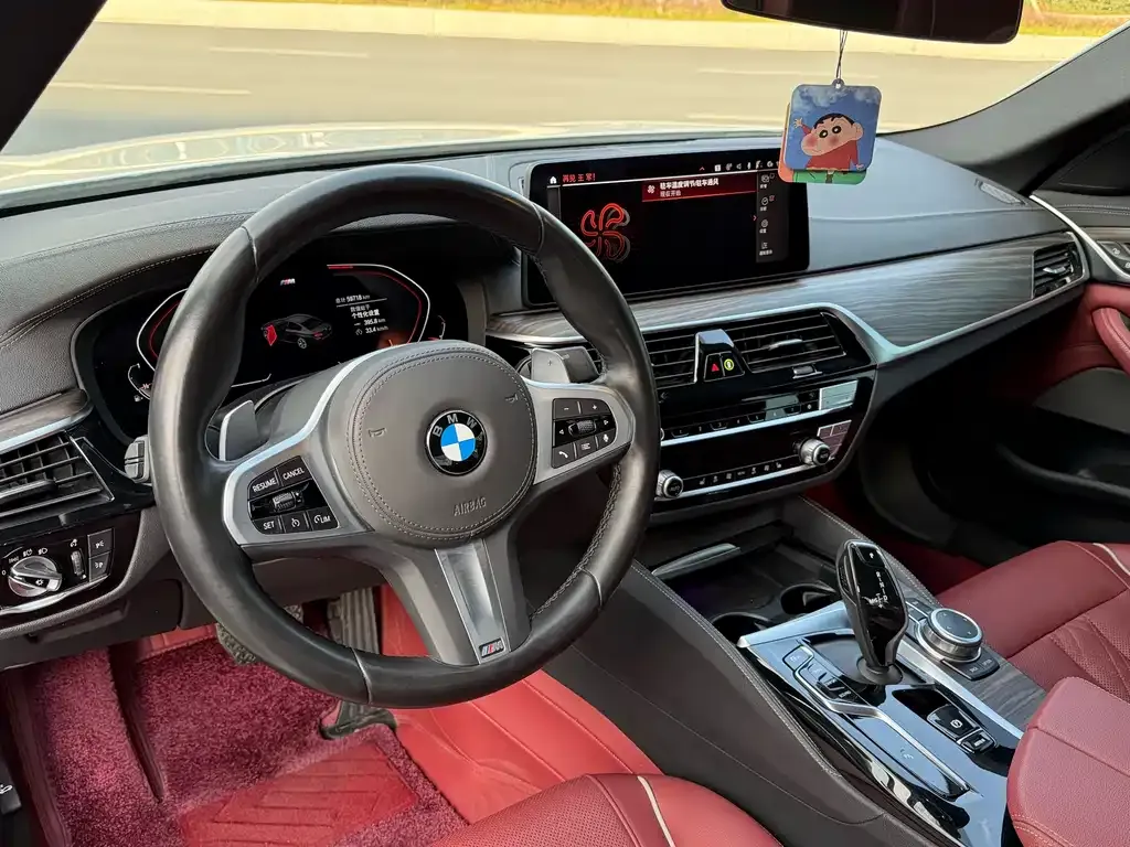BMW 5 Series 2022 из CN, фото 5