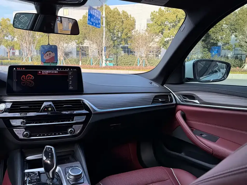 BMW 5 Series 2022 из CN, фото 6