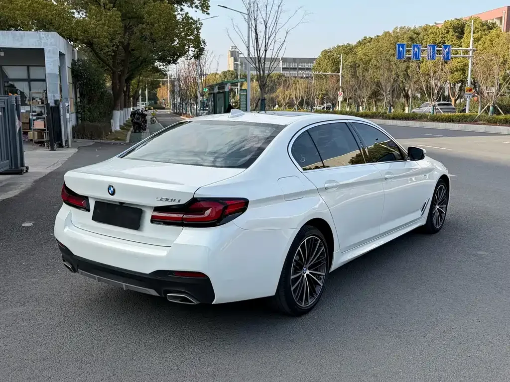 BMW 5 Series 2022 из CN, фото 4