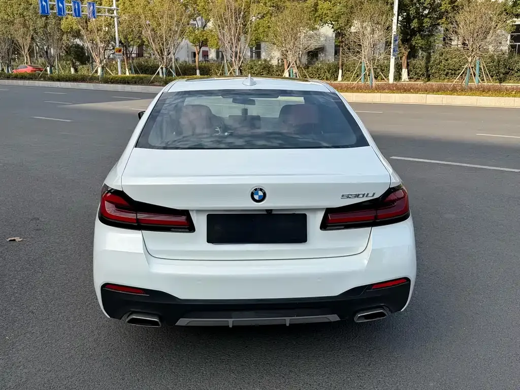BMW 5 Series 2022 из CN, фото 8