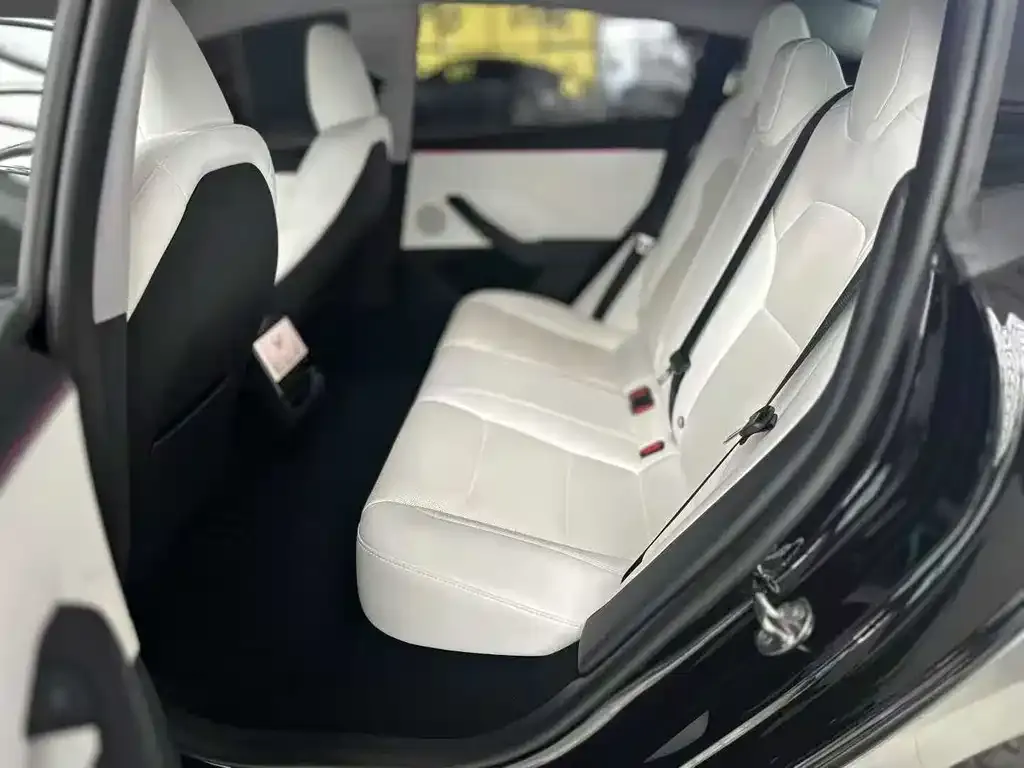 Tesla Model 3 2024 из CN, фото 6