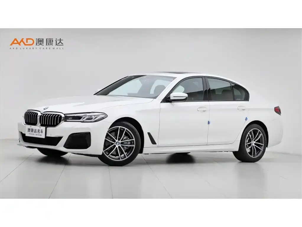 BMW 5 Series (Import) — фото 1