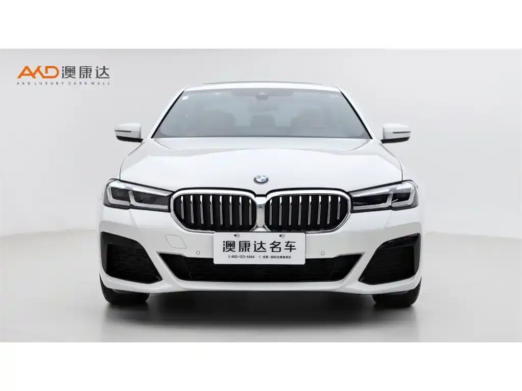 BMW 5 Series (Import) — фото 9