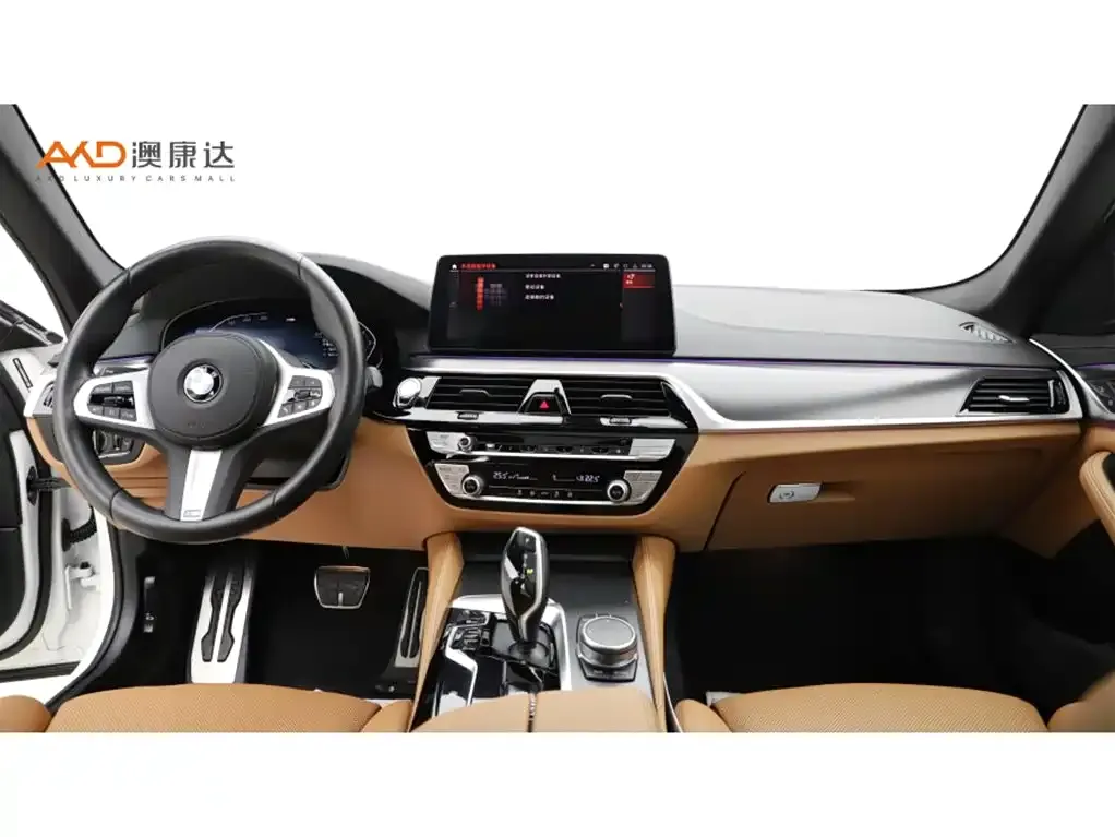 BMW 5 Series (Import) — фото 2