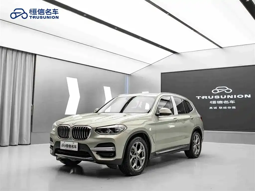 BMW X3 2021 из CN, фото 9
