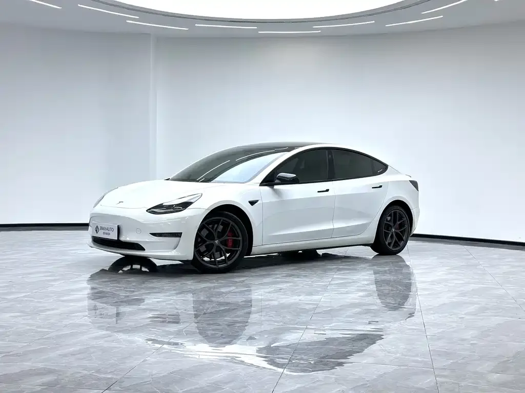Tesla Model 3 2021 из CN, фото 1