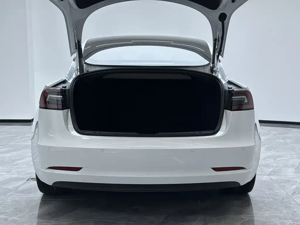 Tesla Model 3 2021 из CN, фото 3