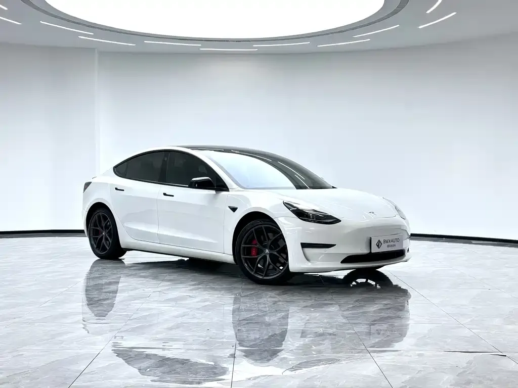 Tesla Model 3 2021 из CN, фото 6