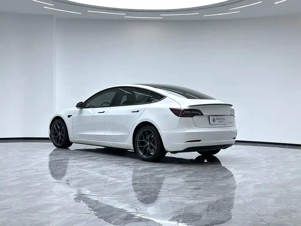 Tesla Model 3 2021 из CN, фото 4