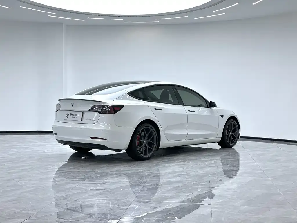 Tesla Model 3 2021 из CN, фото 7