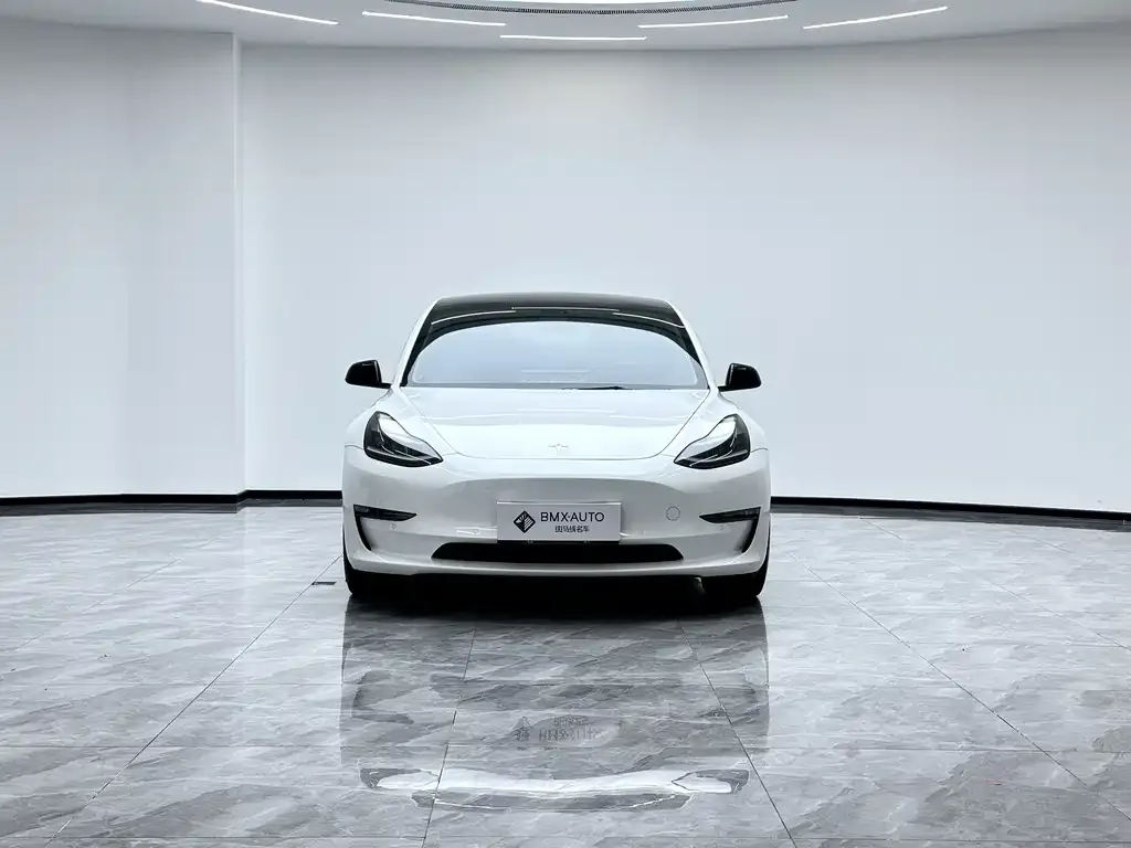 Tesla Model 3 2021 из CN, фото 5