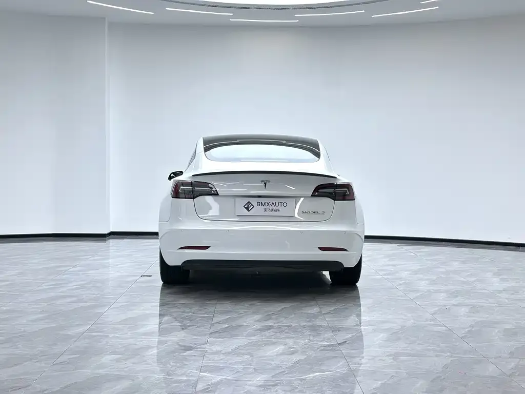 Tesla Model 3 2021 из CN, фото 2
