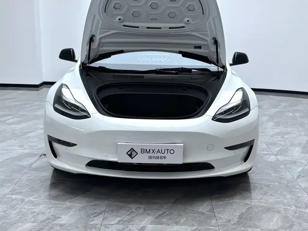 Tesla Model 3 2021 из CN, фото 8
