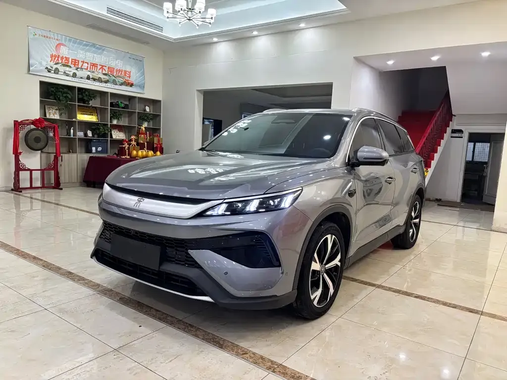 BYD Pro New Energy 2025 из CN, фото 1