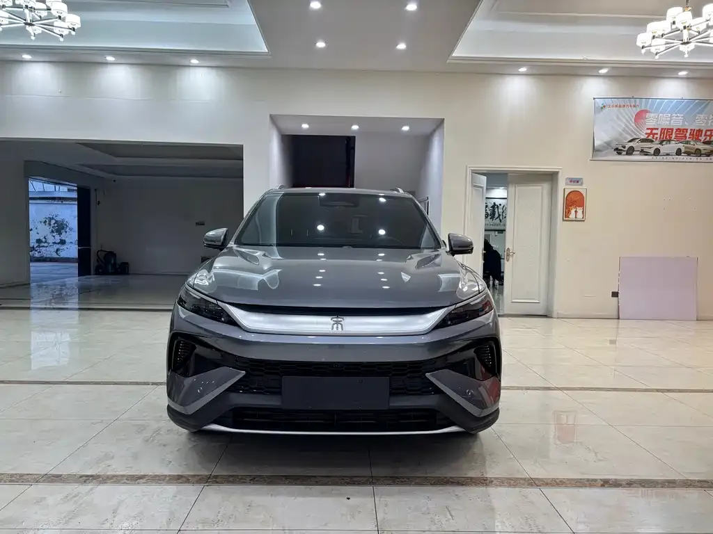 BYD Pro New Energy 2025 из CN, фото 6