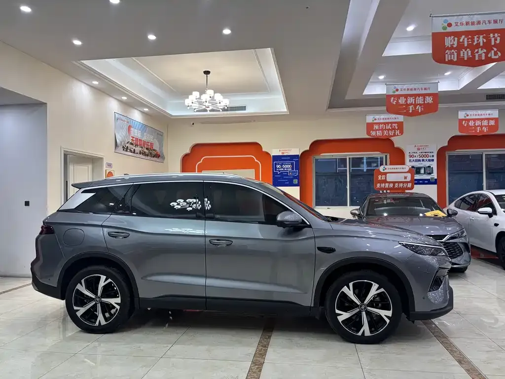 BYD Pro New Energy 2025 из CN, фото 10