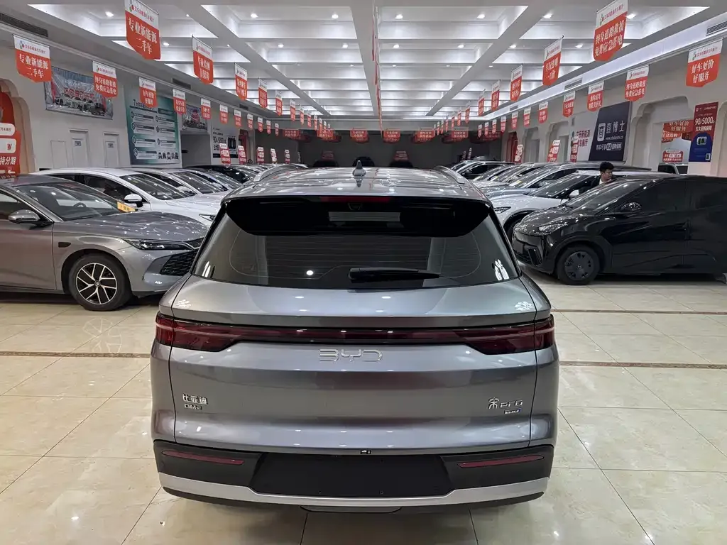 BYD Pro New Energy 2025 из CN, фото 9