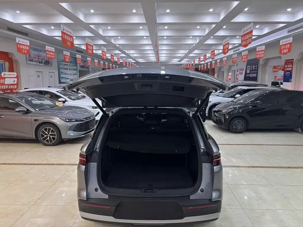 BYD Pro New Energy 2025 из CN, фото 5