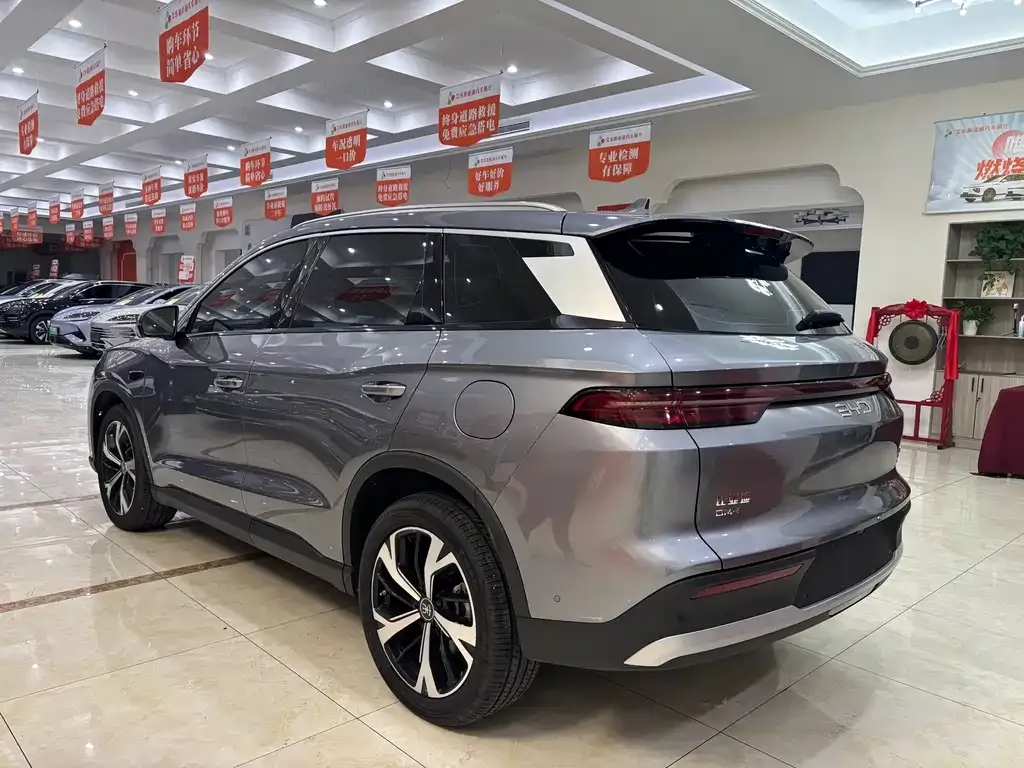 BYD Pro New Energy 2025 из CN, фото 3