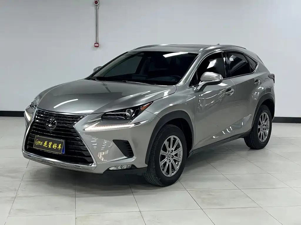 Lexus NX 2021 из CN, фото 1