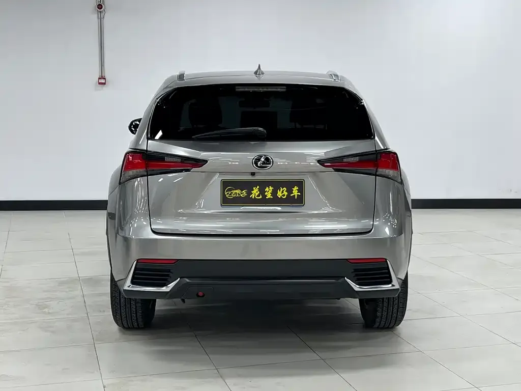 Lexus NX 2021 из CN, фото 10