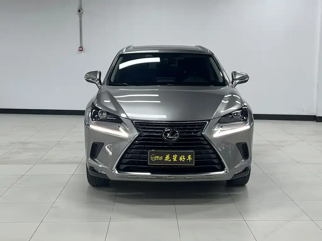 Lexus NX 2021 из CN, фото 7