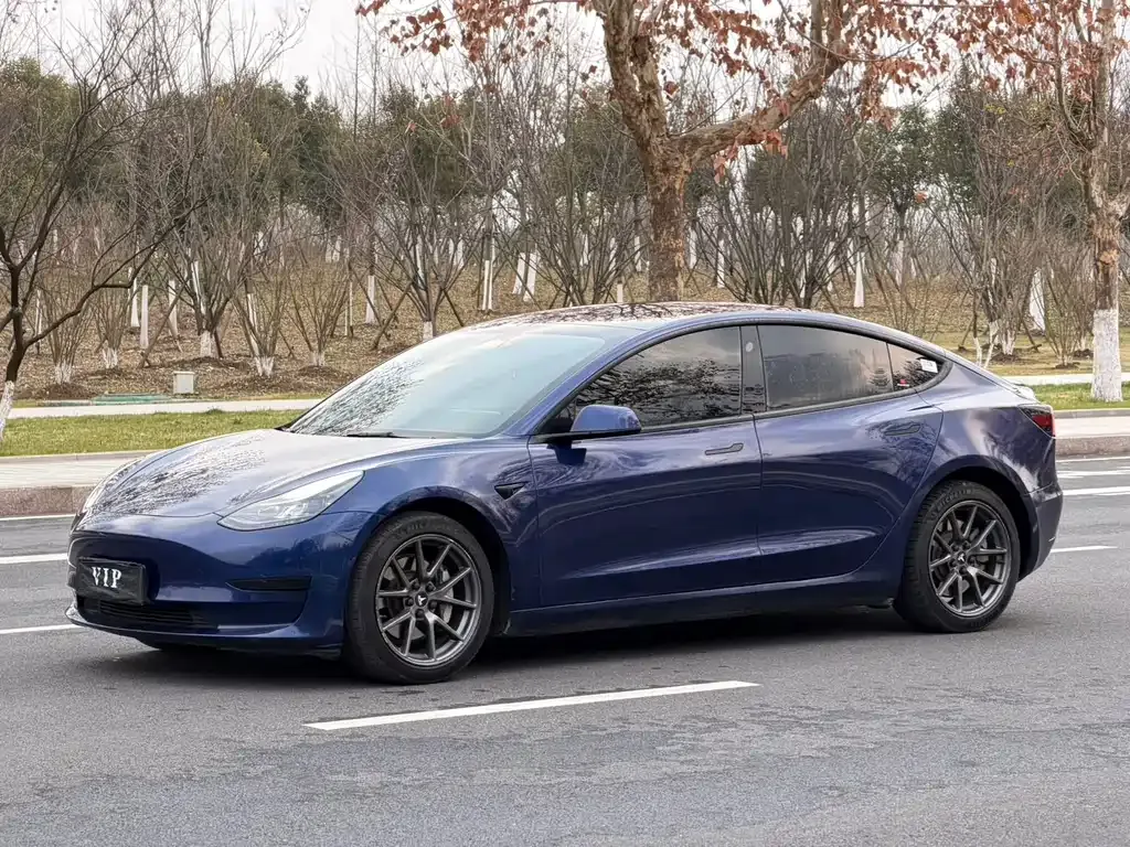 Tesla Model 3 2022 из CN, фото 1