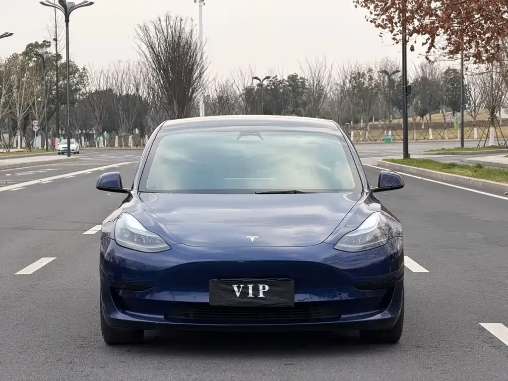 Tesla Model 3 2022 из CN, фото 3