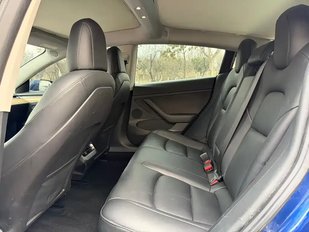 Tesla Model 3 2022 из CN, фото 6