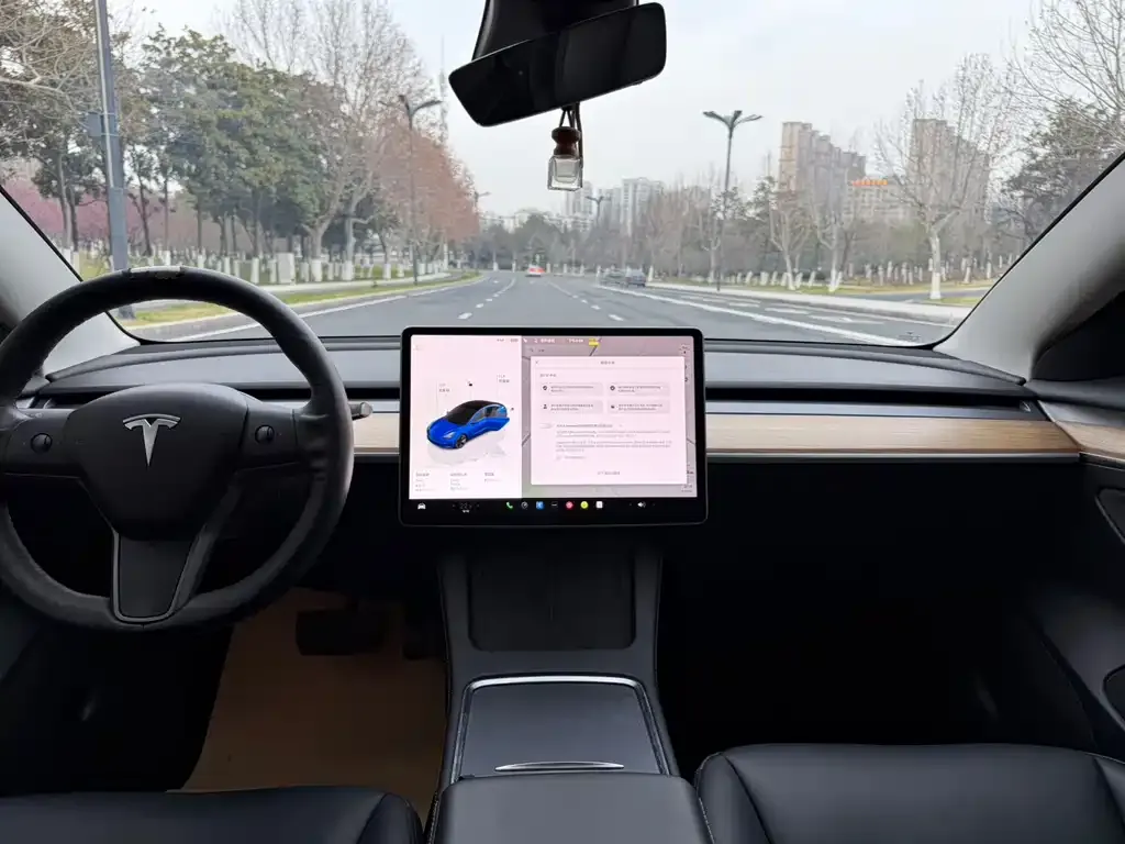 Tesla Model 3 2022 из CN, фото 7