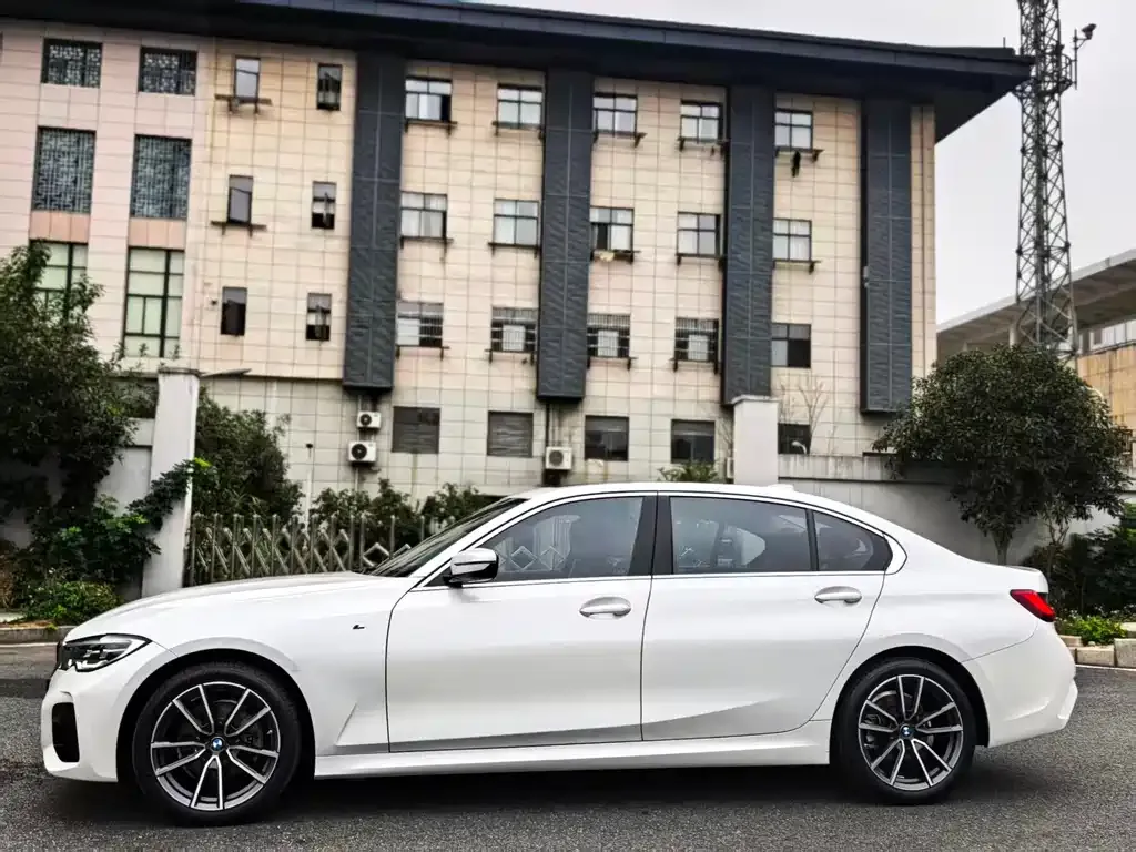 BMW 3 Series 2021 из CN, фото 5