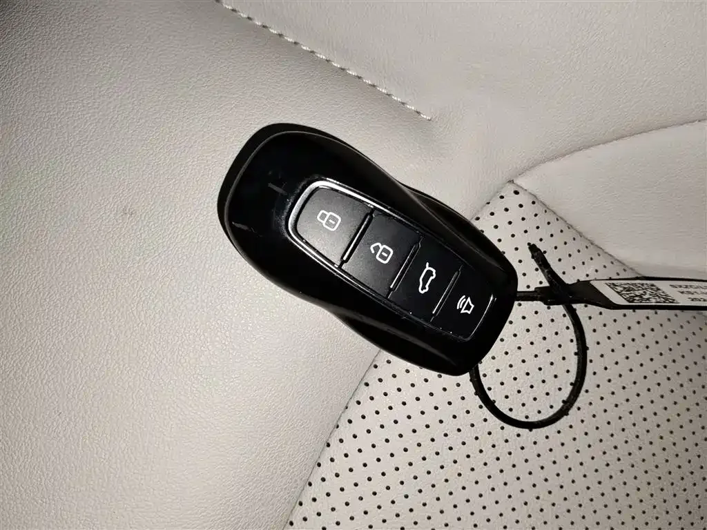 Ford Lingyu New Energy 2026 из CN, фото 7