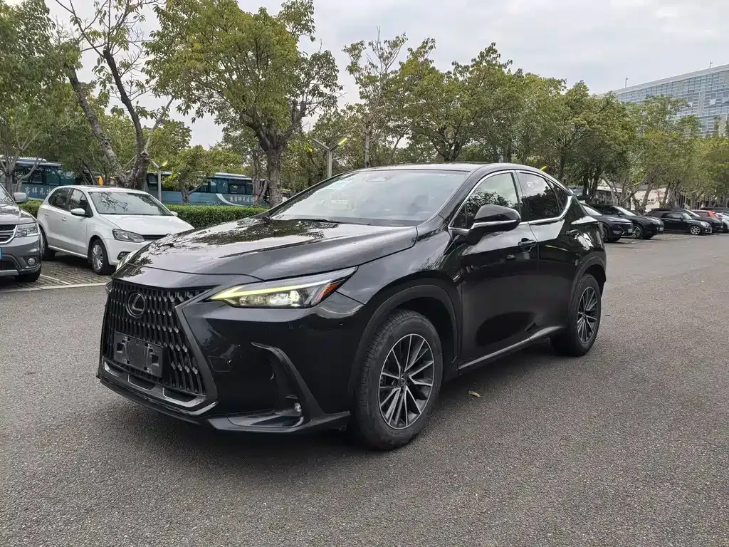 Lexus NX 2023 из CN, фото 1