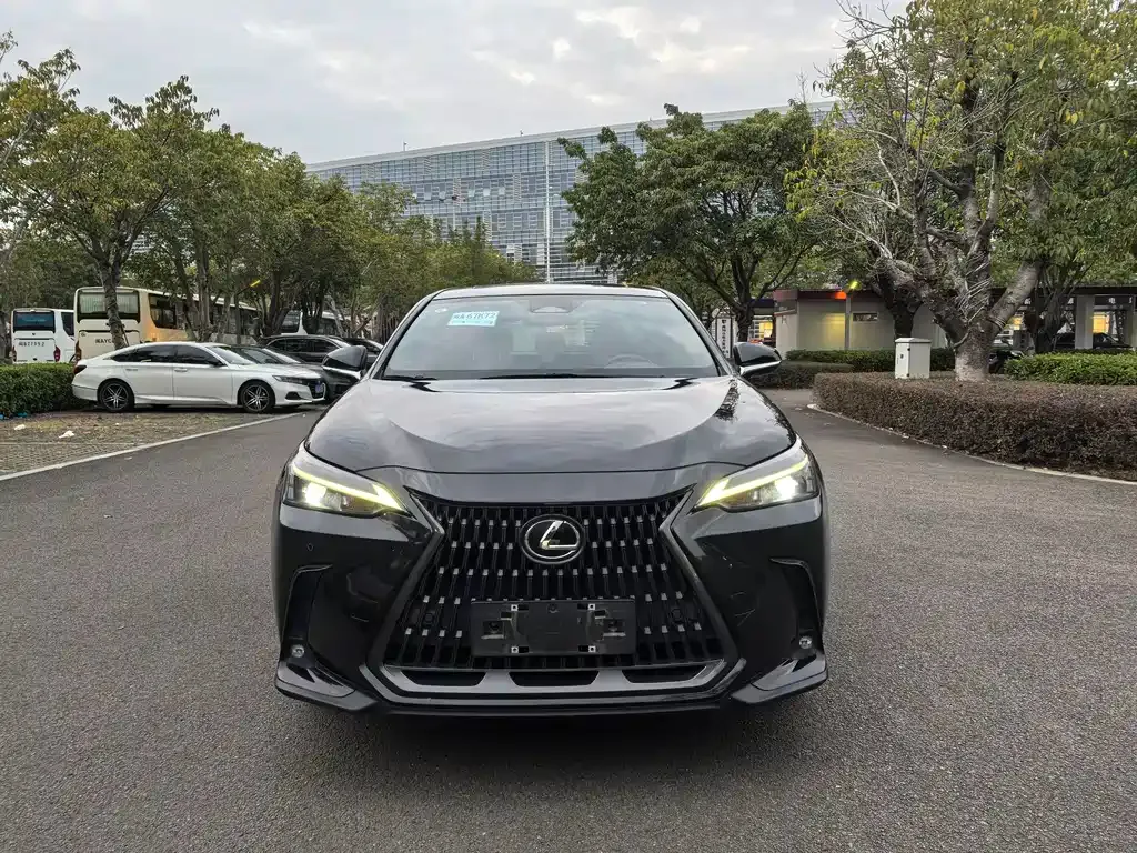 Lexus NX 2023 из CN, фото 3
