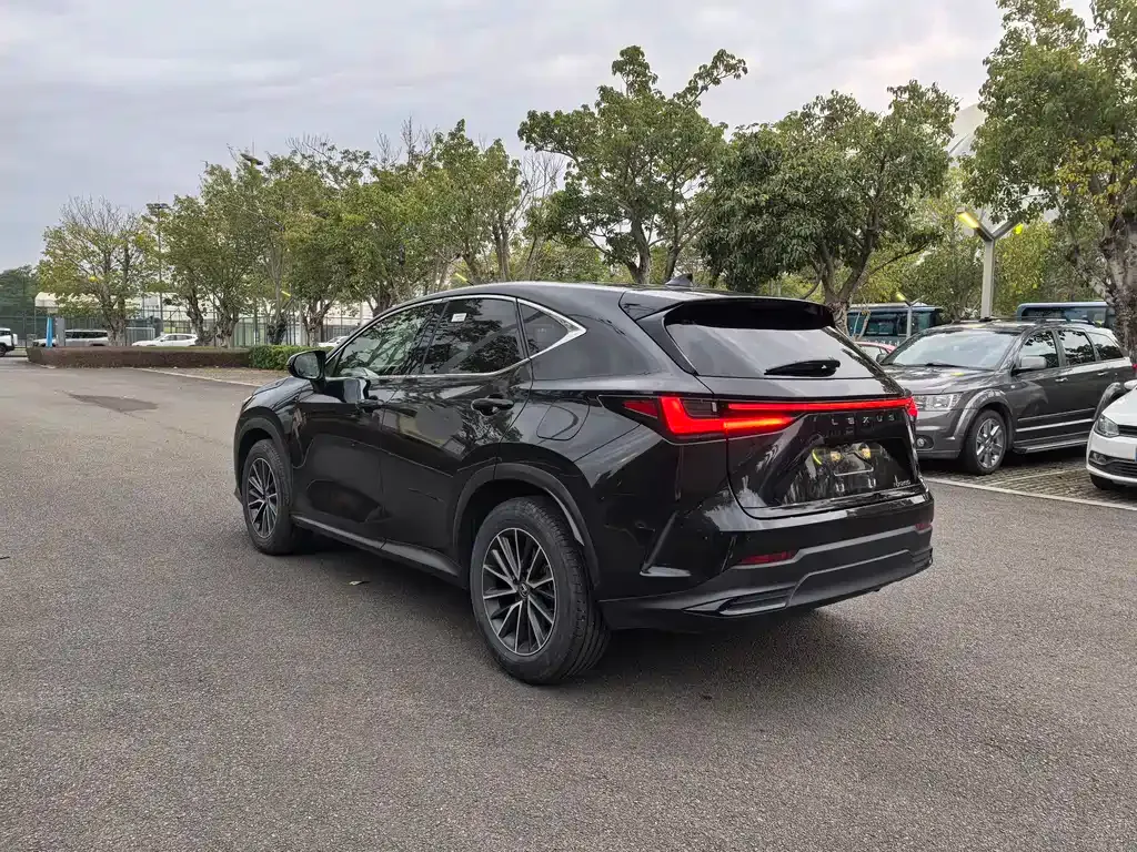 Lexus NX 2023 из CN, фото 4