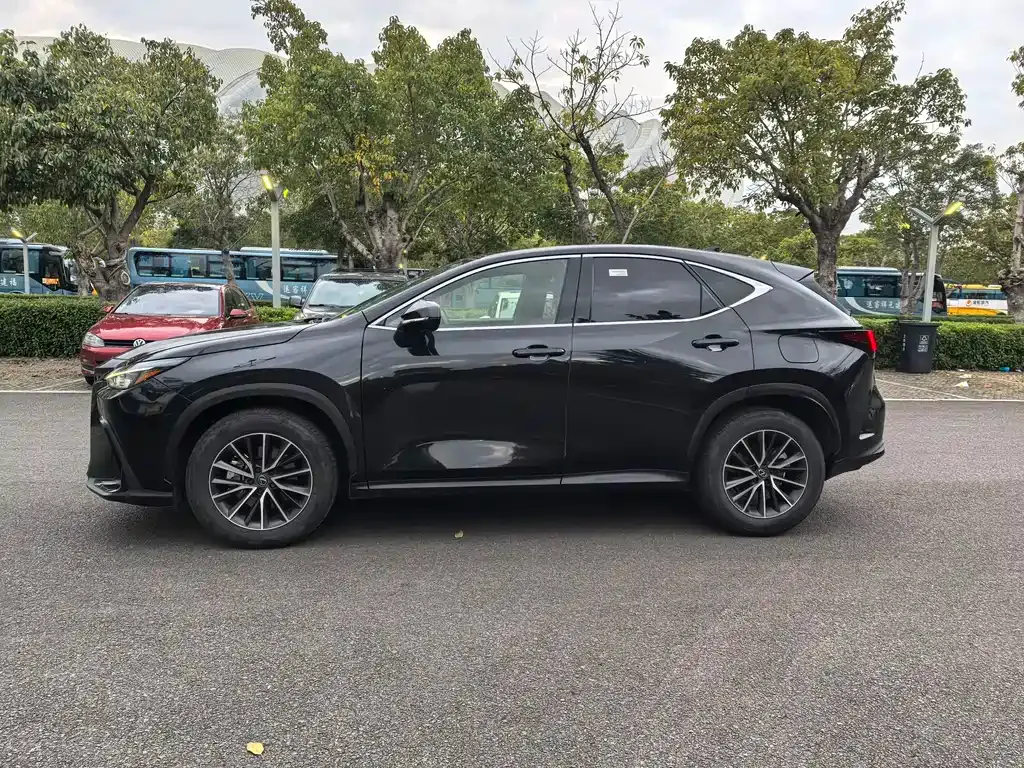 Lexus NX 2023 из CN, фото 8