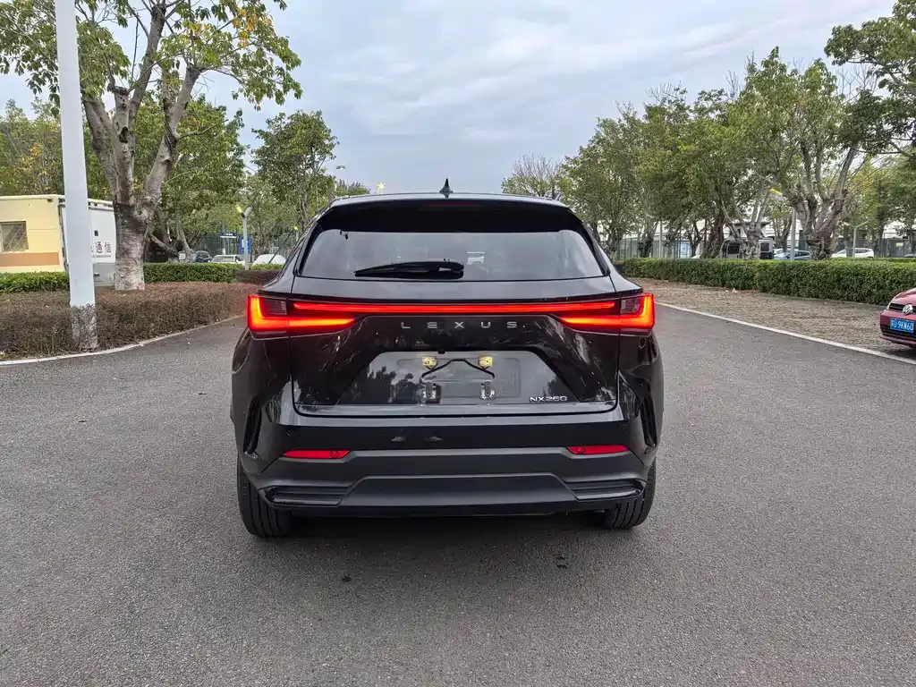 Lexus NX 2023 из CN, фото 5