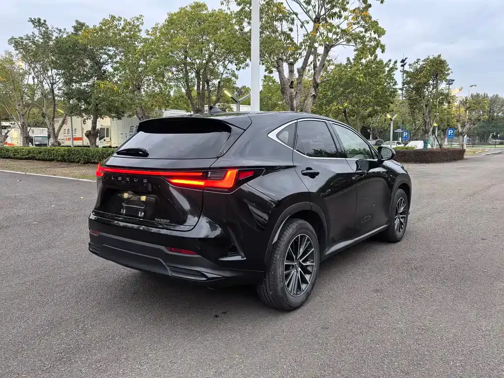 Lexus NX 2023 из CN, фото 6