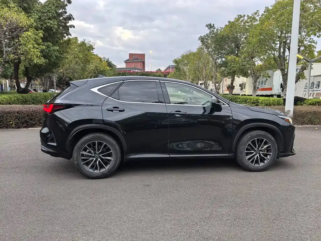 Lexus NX 2023 из CN, фото 10