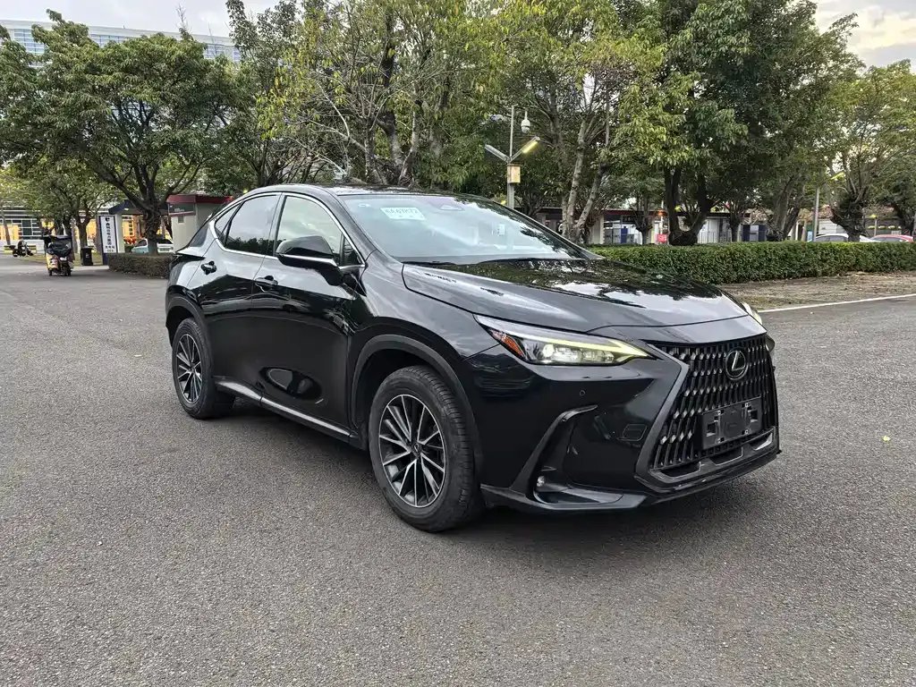 Lexus NX 2023 из CN, фото 9