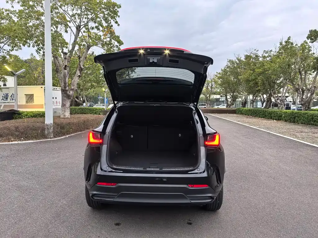 Lexus NX 2023 из CN, фото 7