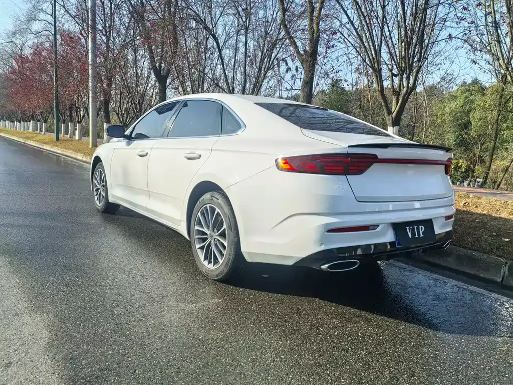 Geely Xingrui 2022 из CN, фото 8
