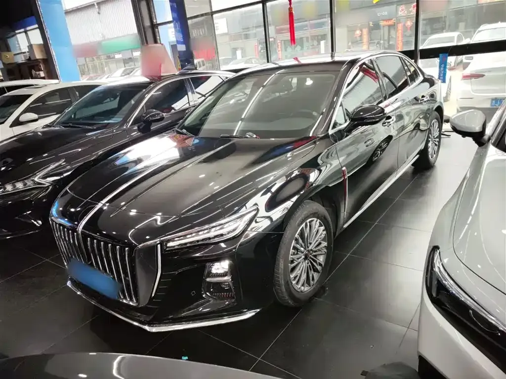 Hongqi H5 2023 из CN, фото 2