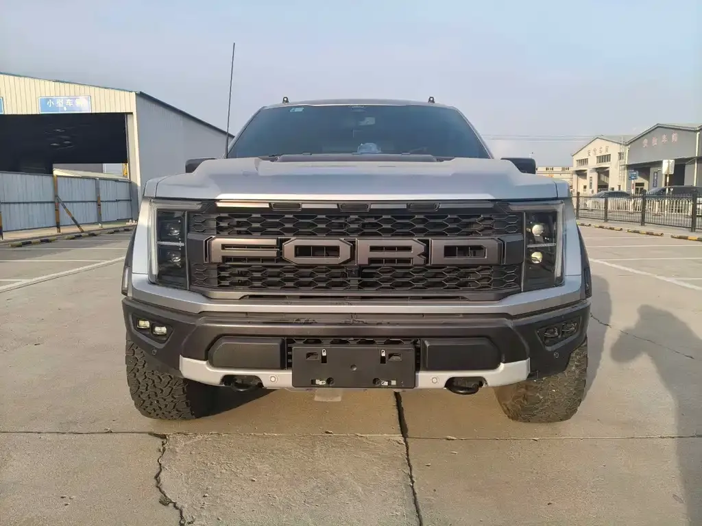 Ford F-150 Raptor 2023 из CN, фото 10