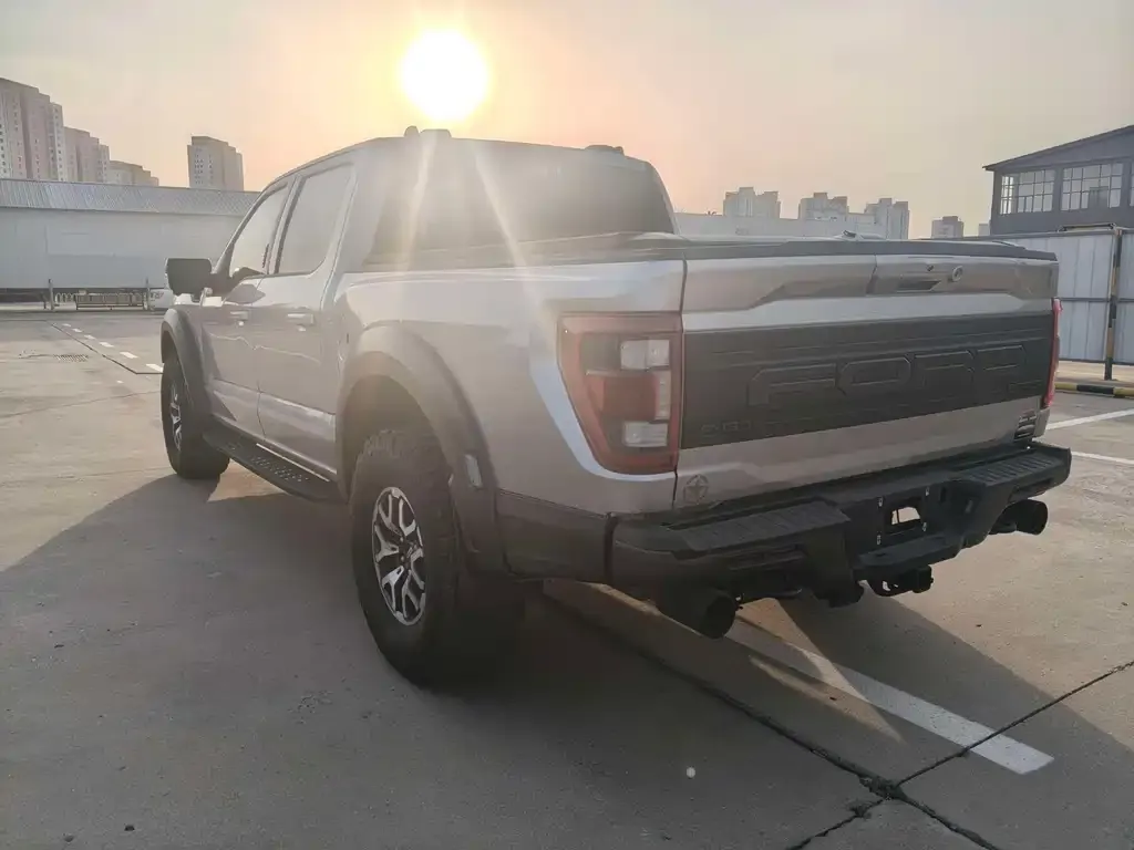 Ford F-150 Raptor 2023 из CN, фото 5